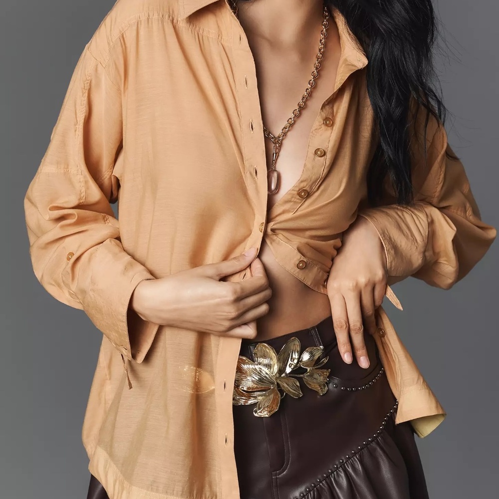 Anthropologie Sheer Buttondown Shirt Relaxed Fit Tunic Oversized Top NWT M